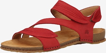 EL NATURALISTA Sandals in Red: front