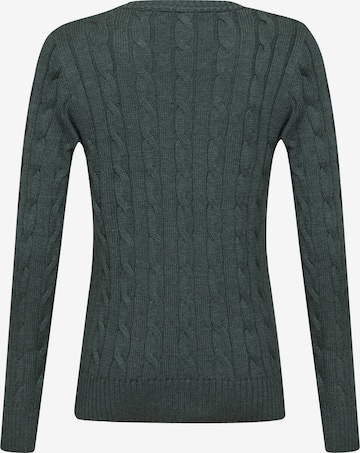 DENIM CULTURE Sweater 'LUDOVICA' in Green