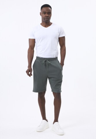 Felix Hardy Regular Broek in Groen