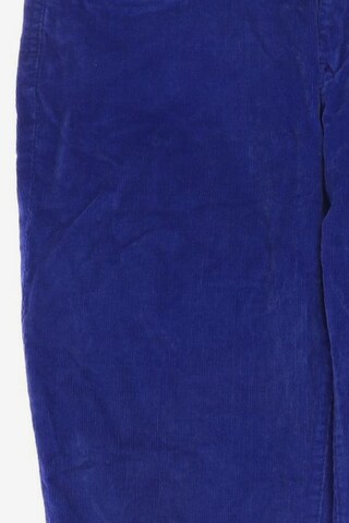 Superdry Pants in L in Blue