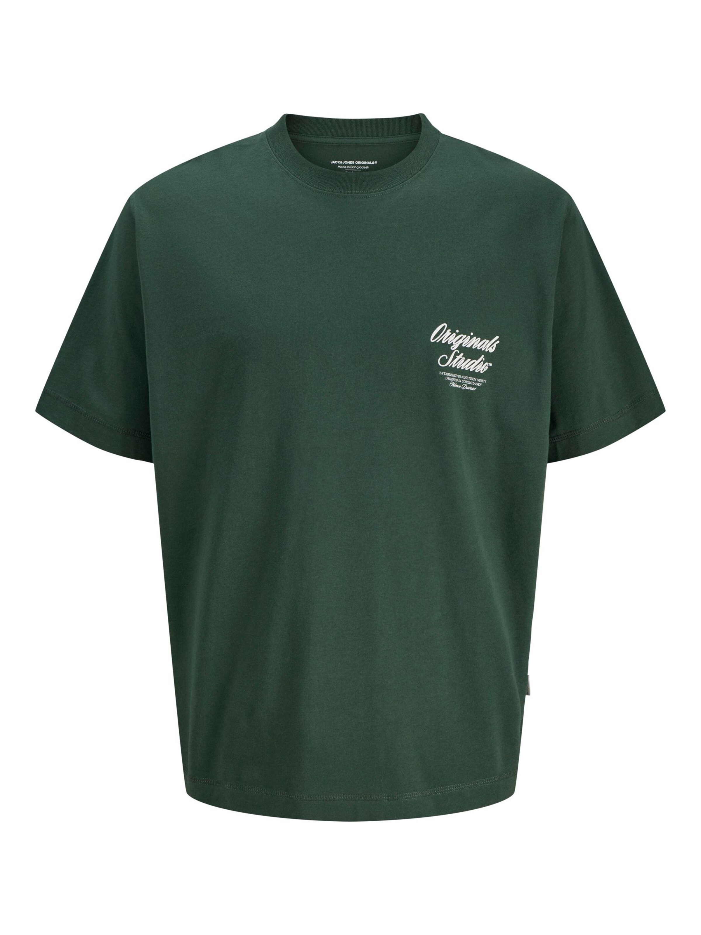 JACK & JONES T-Shirt 'JORNORREBRO' en vert, Vue avec produit