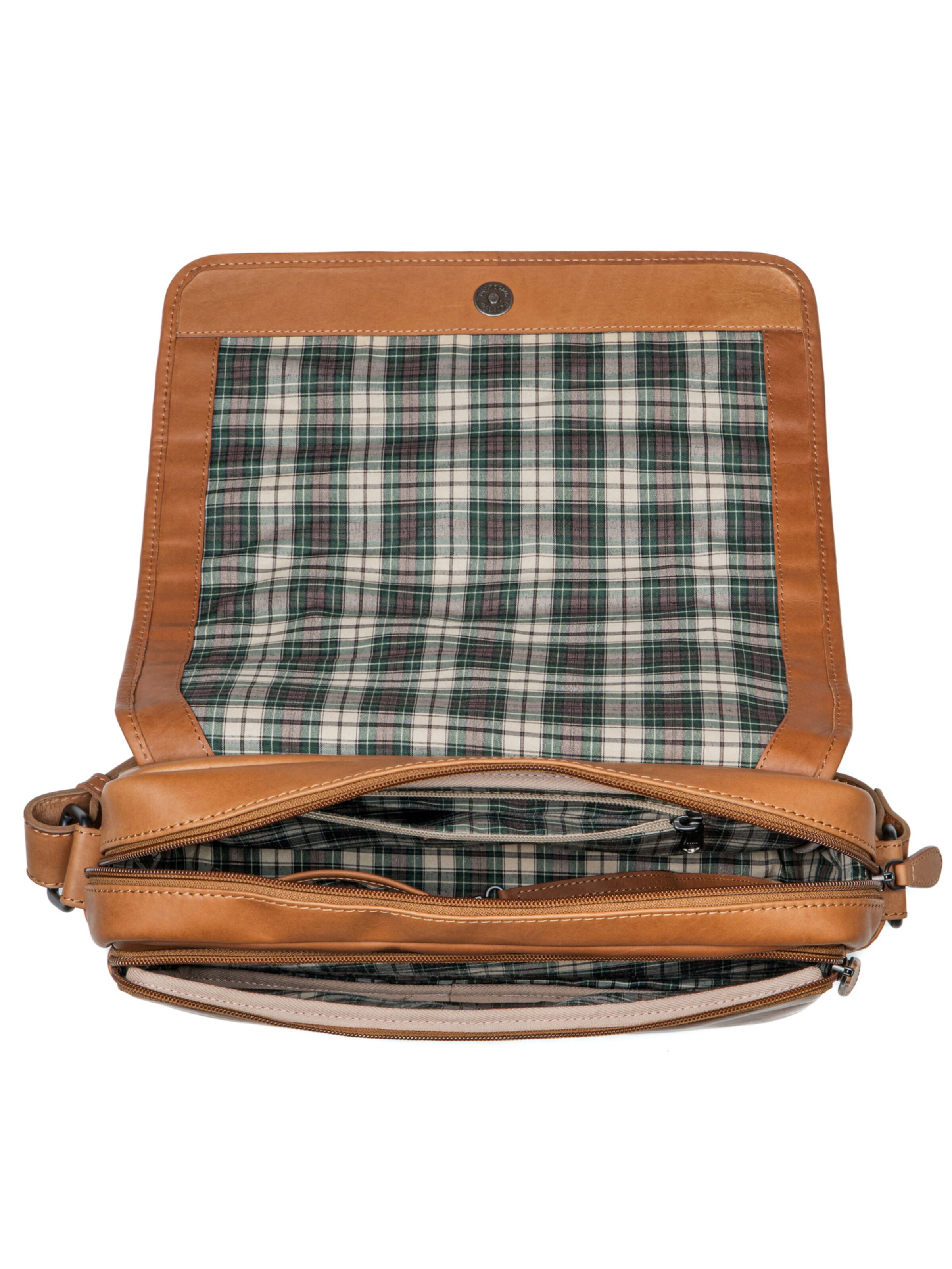 Benthill Messenger 'Messenger' in Brown