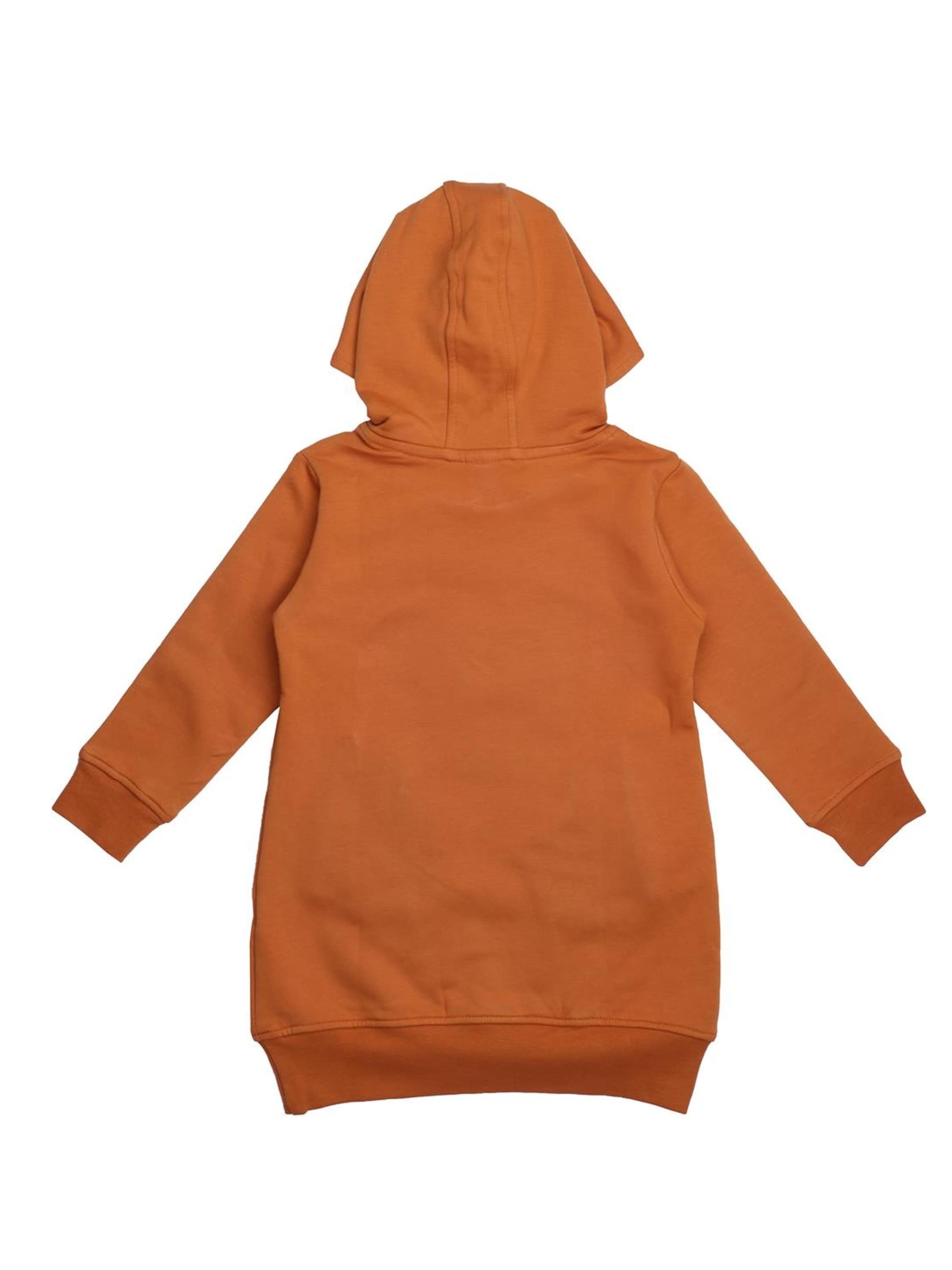 Walkiddy Dress in Brown