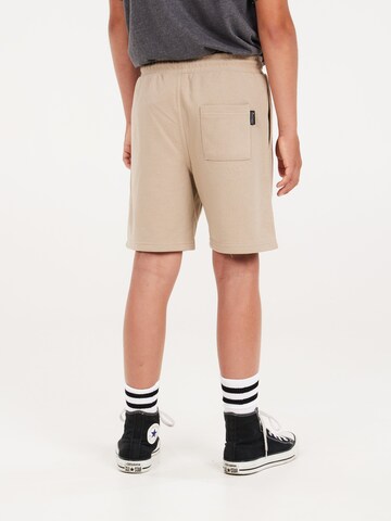 PROTEST Loose fit Pants 'PRTCLINT JR' in Brown