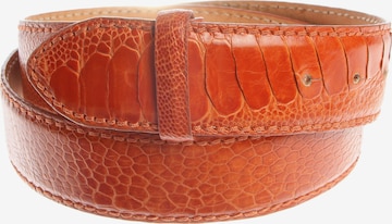 Reptile's House Gürtel M in Braun: Vorderseite