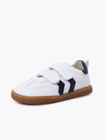 Pisamonas Sneaker in Blau: Vorderseite