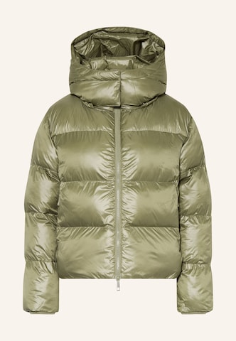 darling harbour Pufferjacke in Grün: Vorderseite