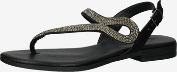 IGI&CO T-Bar Sandals in Black: front