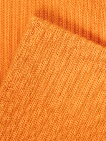 Von Jungfeld Socks 'CASUAL CLASSIC' in Orange