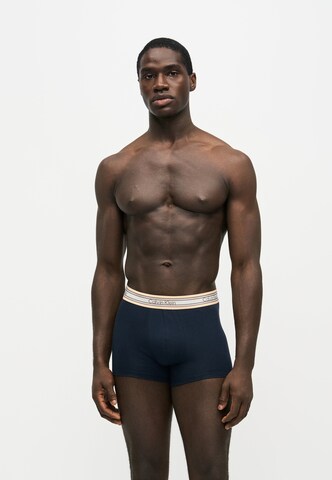 Calvin Klein Underwear Boxershorts i blå