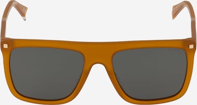 Akiniai nuo saulės iš Polaroid, spalva – šafrano spalva, Prekių apžvalga