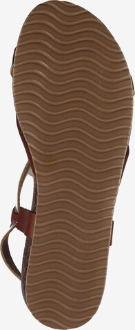 IGI&CO T-Bar Sandals in Brown