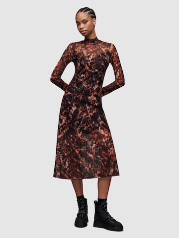 AllSaints Dress 'HANNA' in Brown: front
