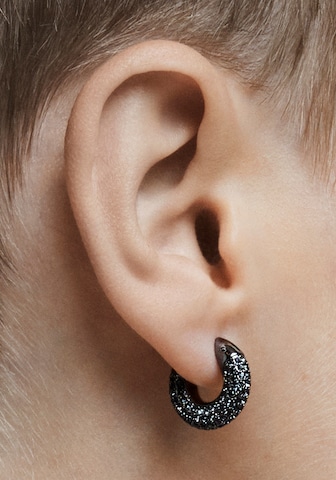Swarovski Earrings in Black