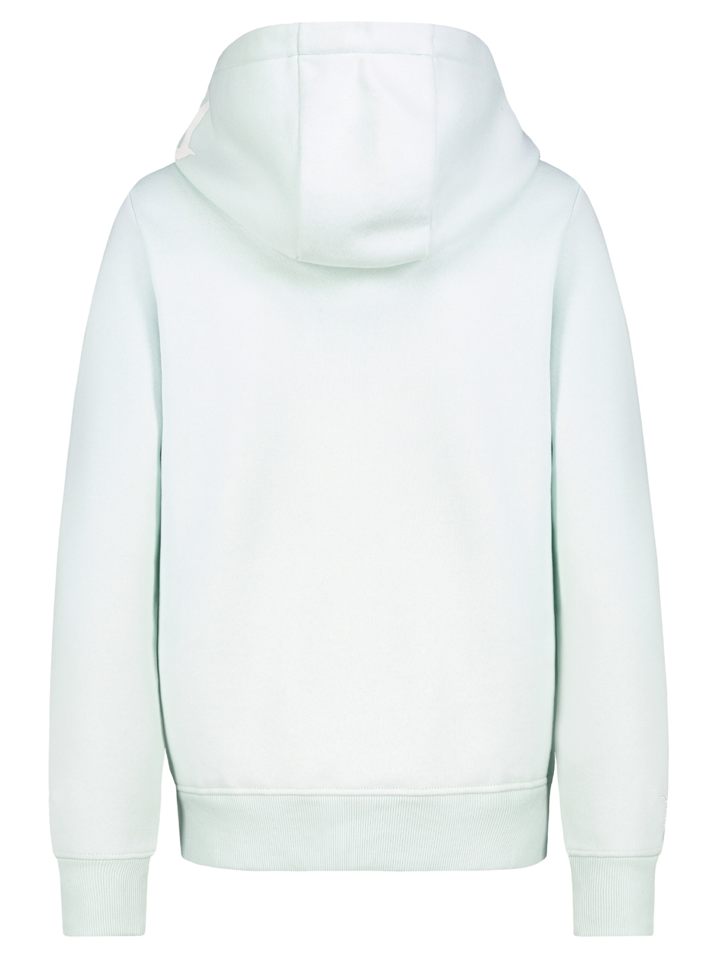 Eight2Nine Sweatshirt 'Küste' in Groen