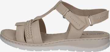 CAPRICE Sandals in Beige