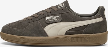 PUMA Sneakers laag 'Palermo' in Grijs: voorkant