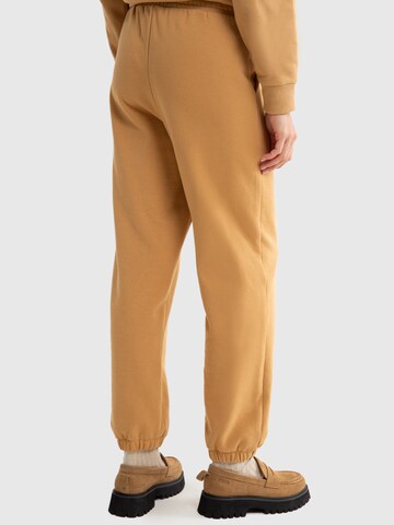 BIG STAR Tapered Trousers 'LARISSA' in Brown