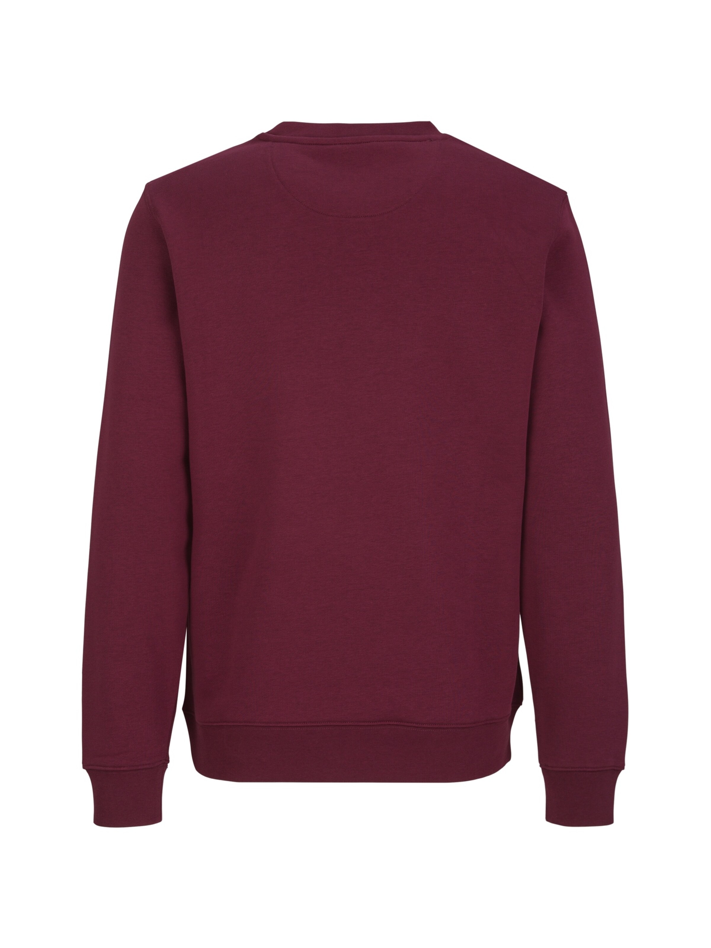19V69 ITALIA Sweatshirt ' Nico Wintersports 2 ' in Rood