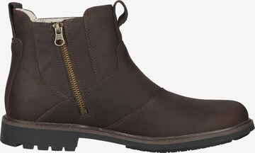 TIMBERLAND Chelsea boots in Bruin