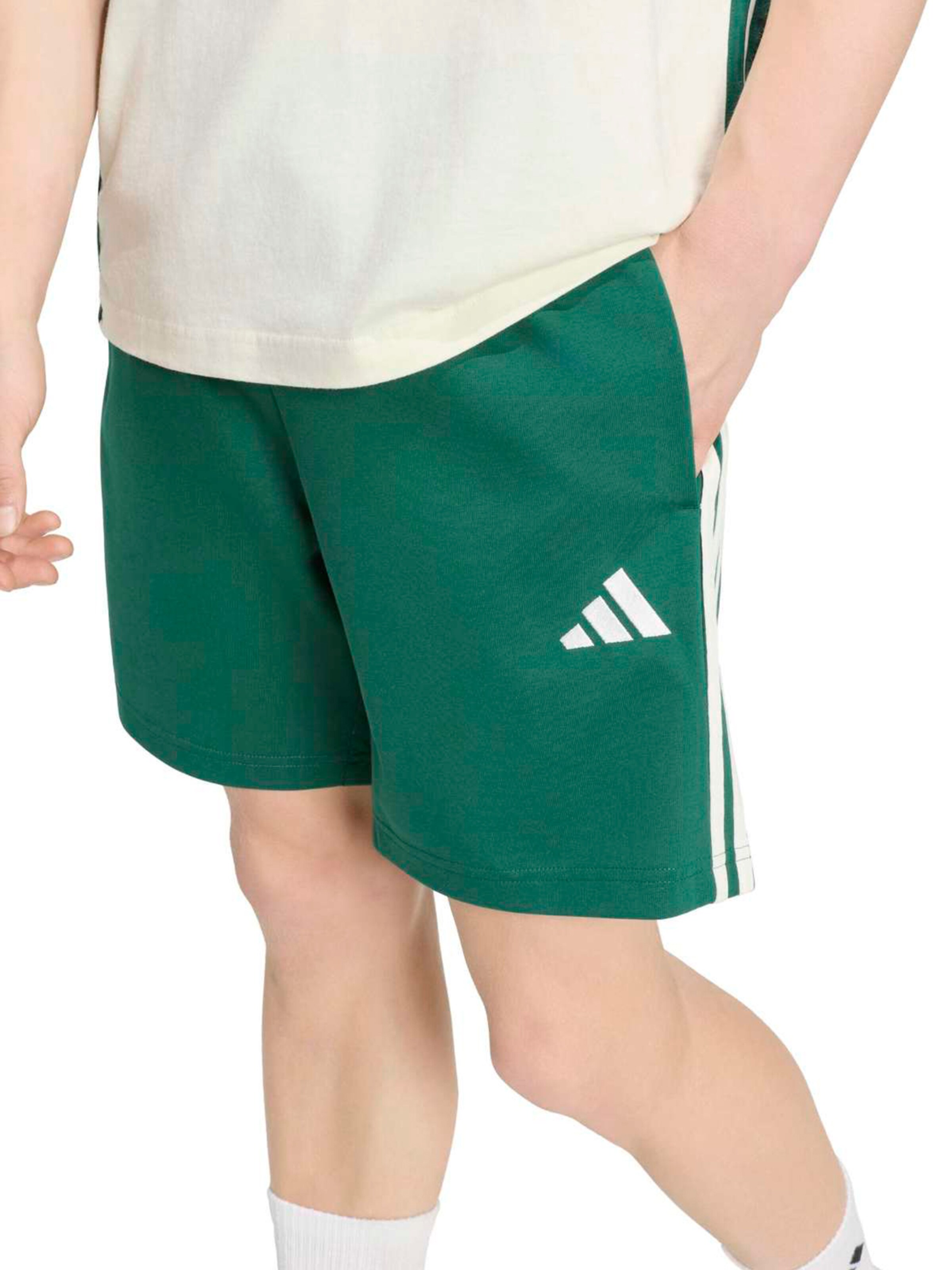 ADIDAS SPORTSWEAR - Loosefit Calças de desporto 'Essentials' em verde