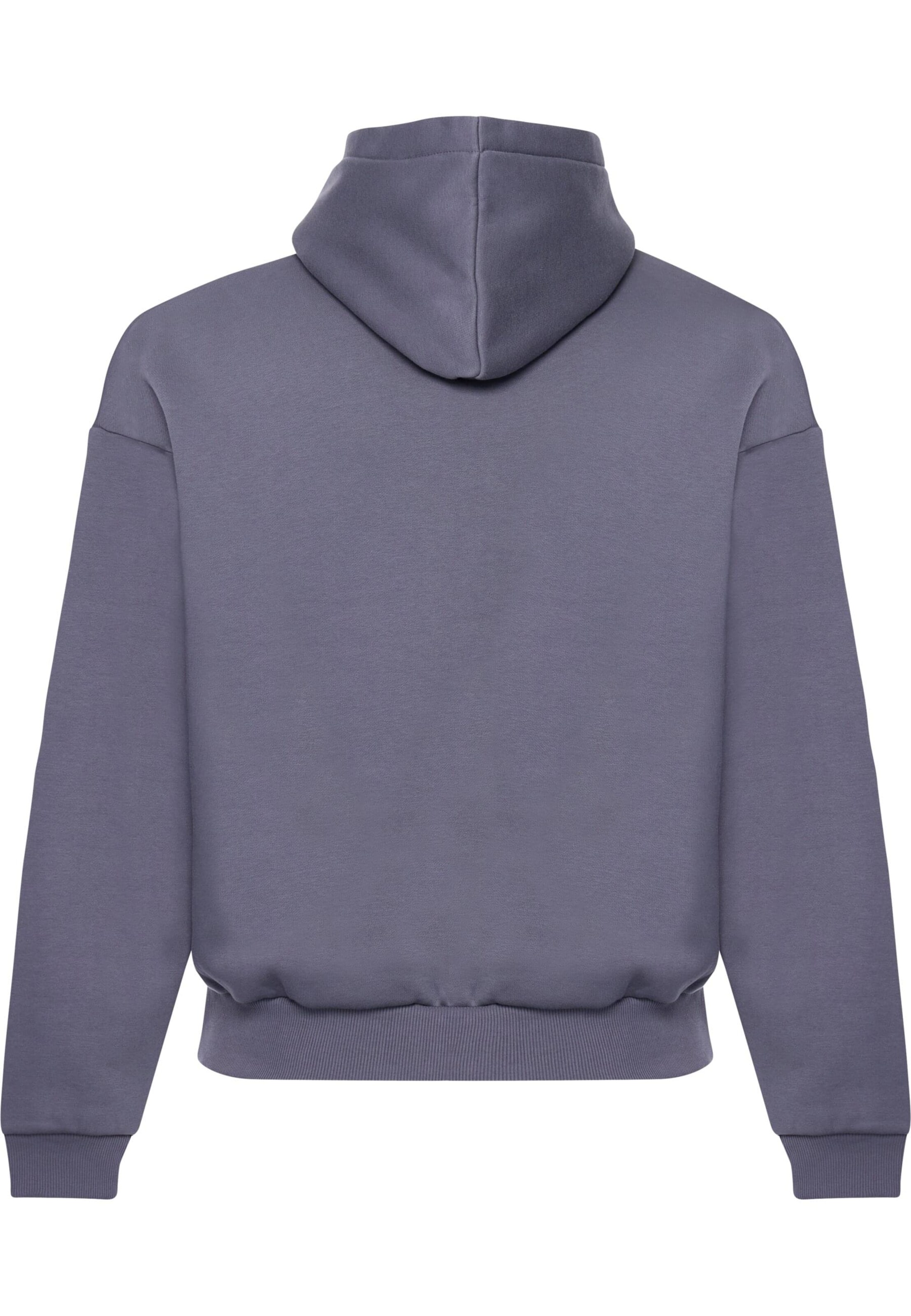 Dropsize Sweatshirt in Grey