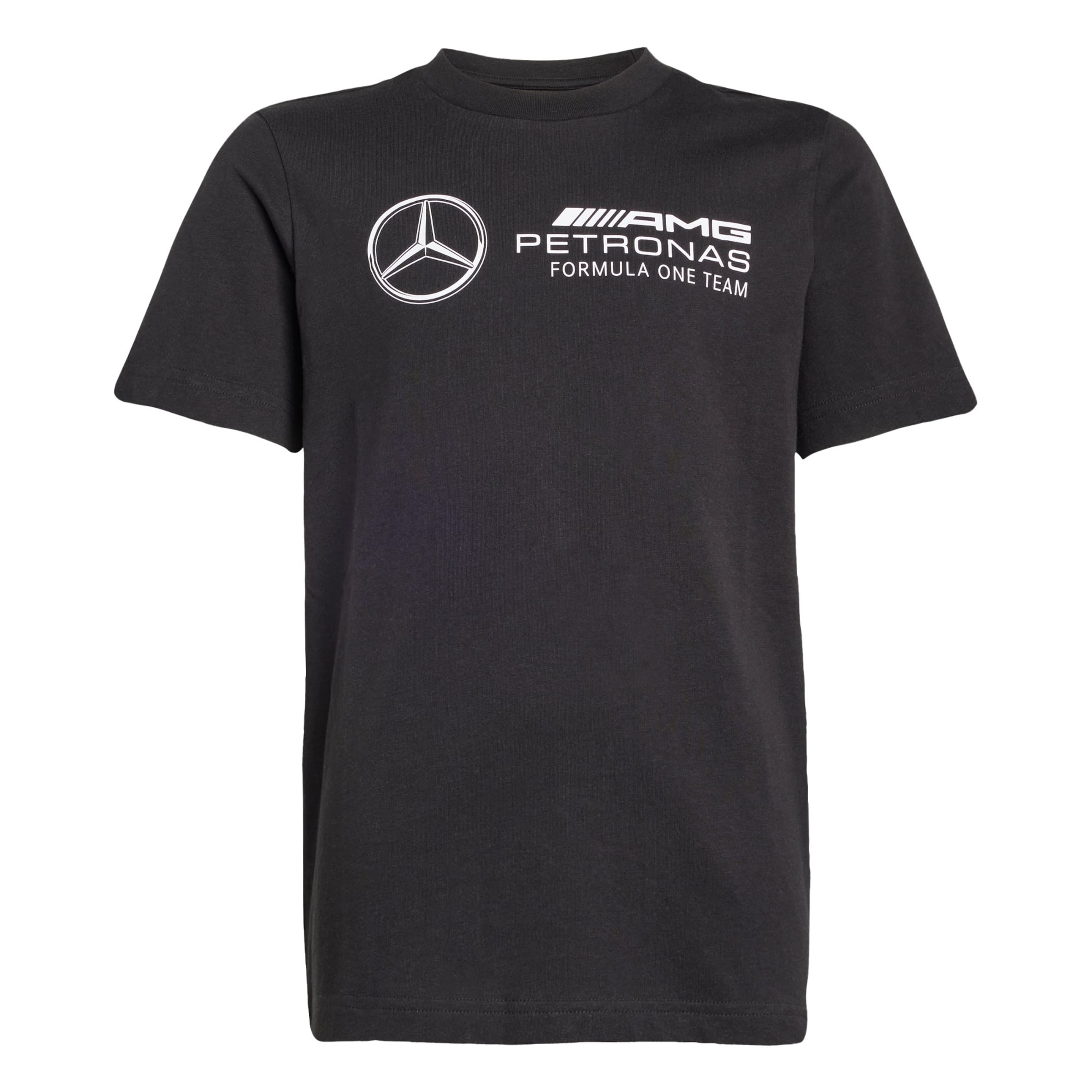 ADIDAS PERFORMANCE - Camiseta funcional 'Mercedes - AMG Petronas Formula One Team' en negro: frente