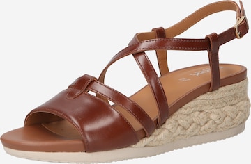 GEOX Sandals in Brown: front