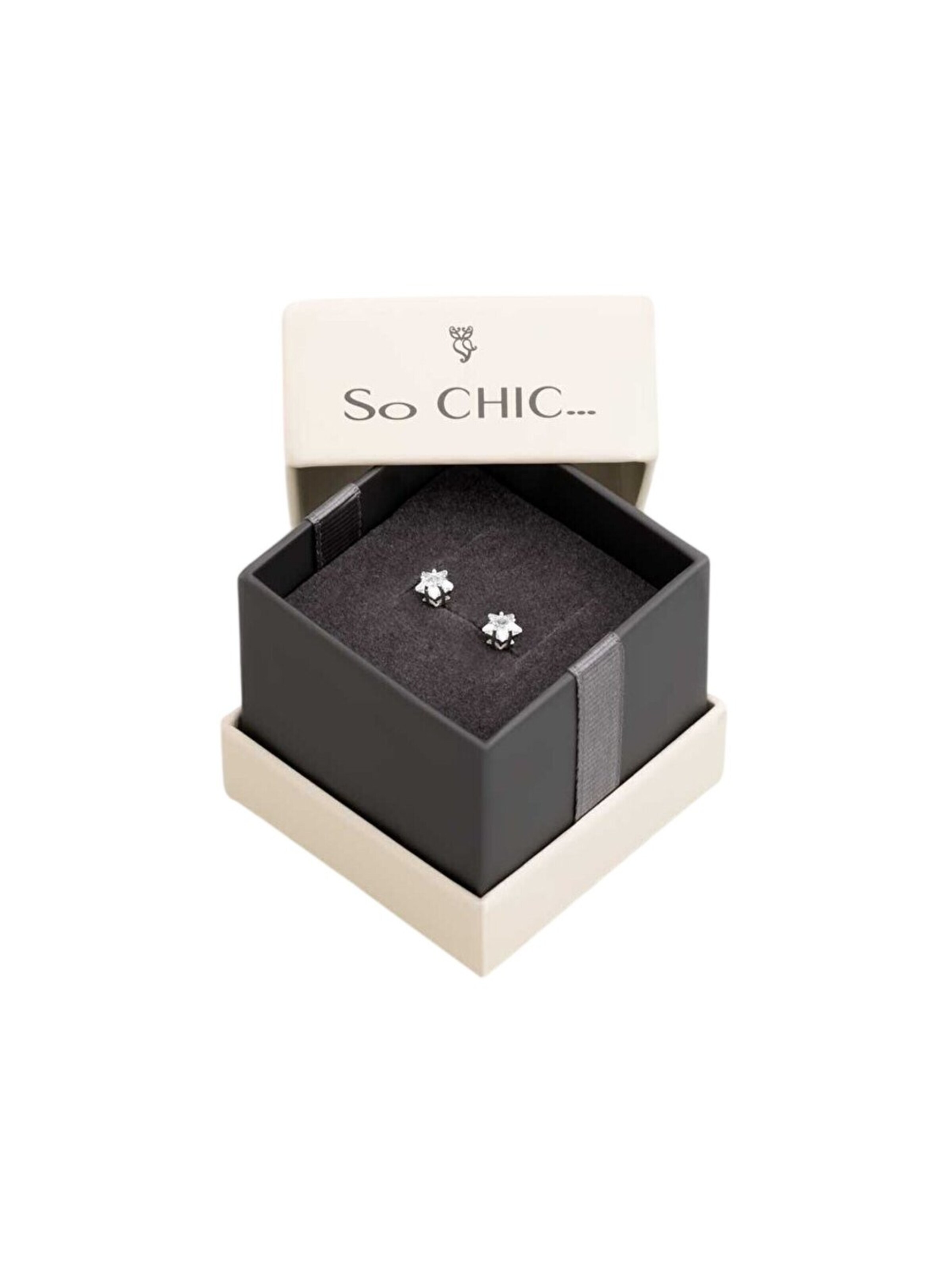 Boucles d'oreilles So Chic en argent