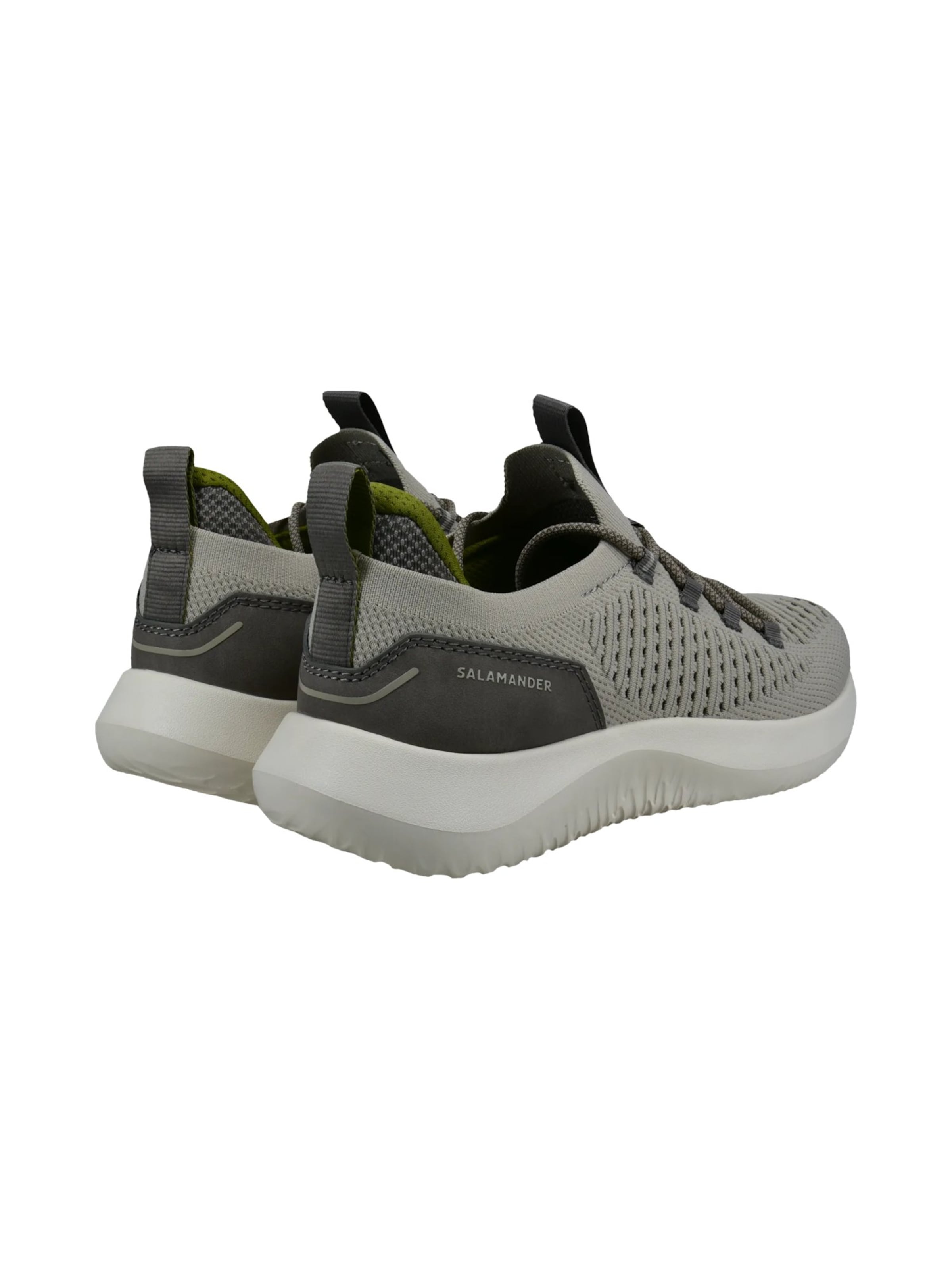 Baskets basses SALAMANDER en gris