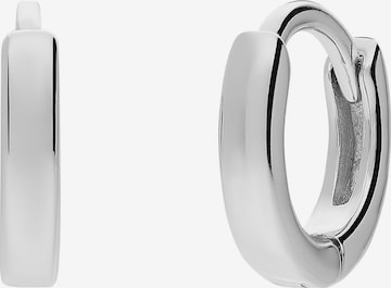 Lucardi Earrings in Silver: front