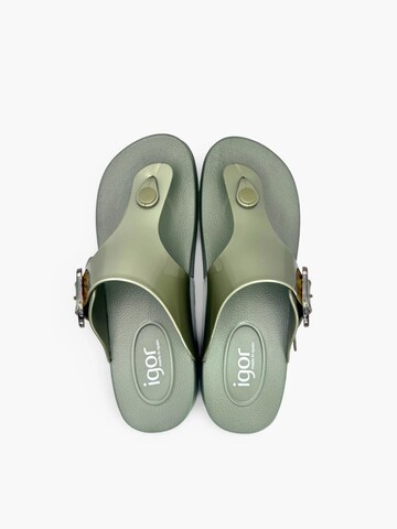 IGOR Beach & swim shoe in Green