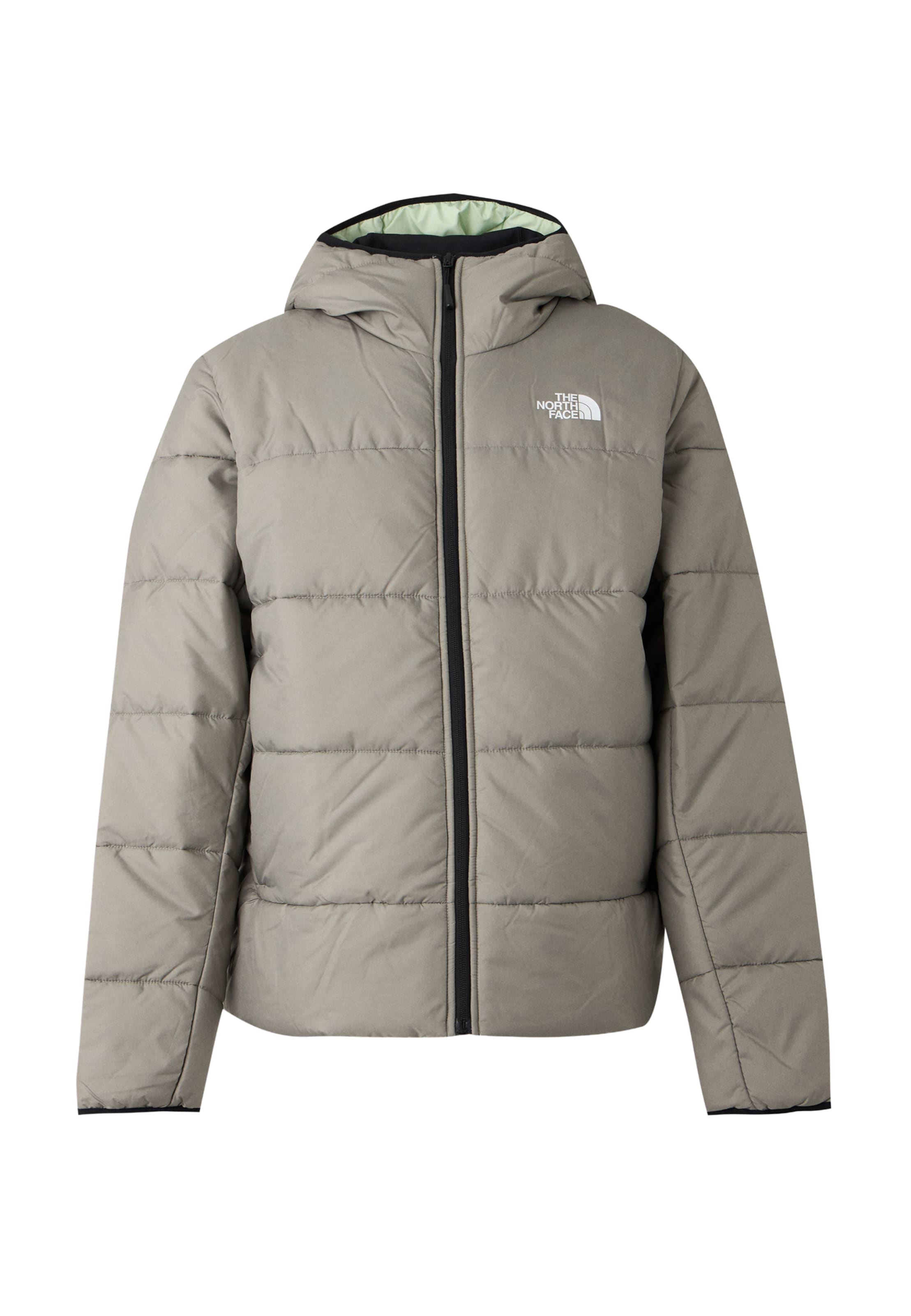 pelēks THE NORTH FACE Ziemas jaka 'NSE': no priekšpuses