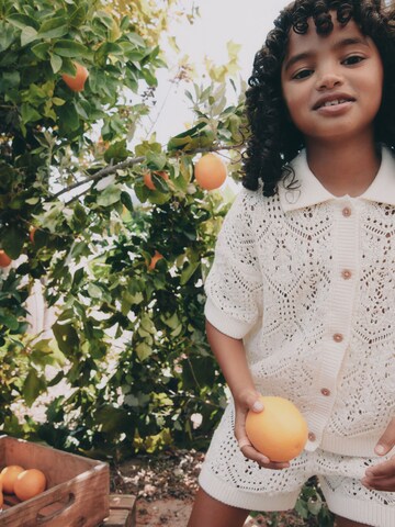 smėlio Next Rinkinys