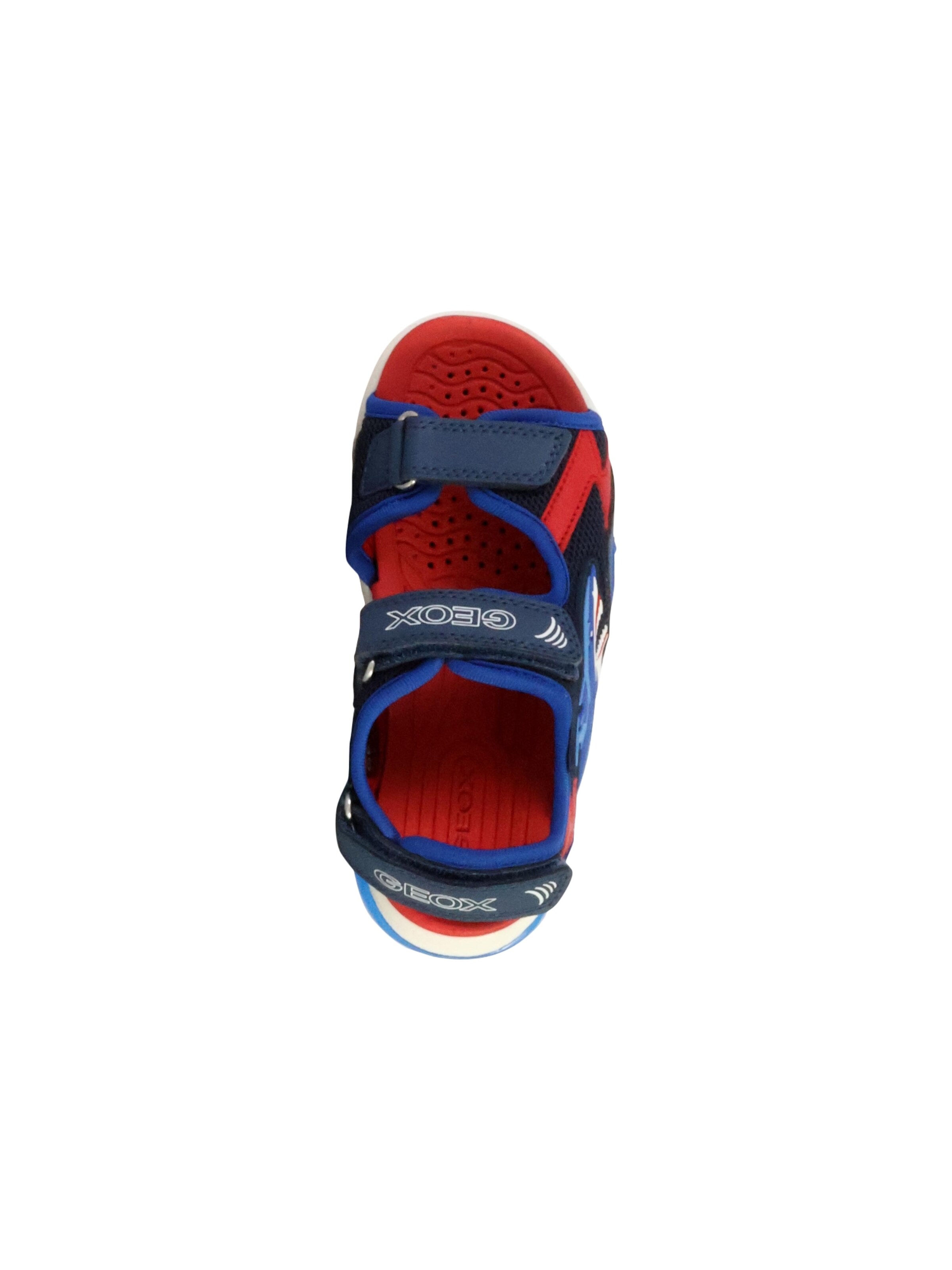 GEOX Sandale‌‌‌ in Blau