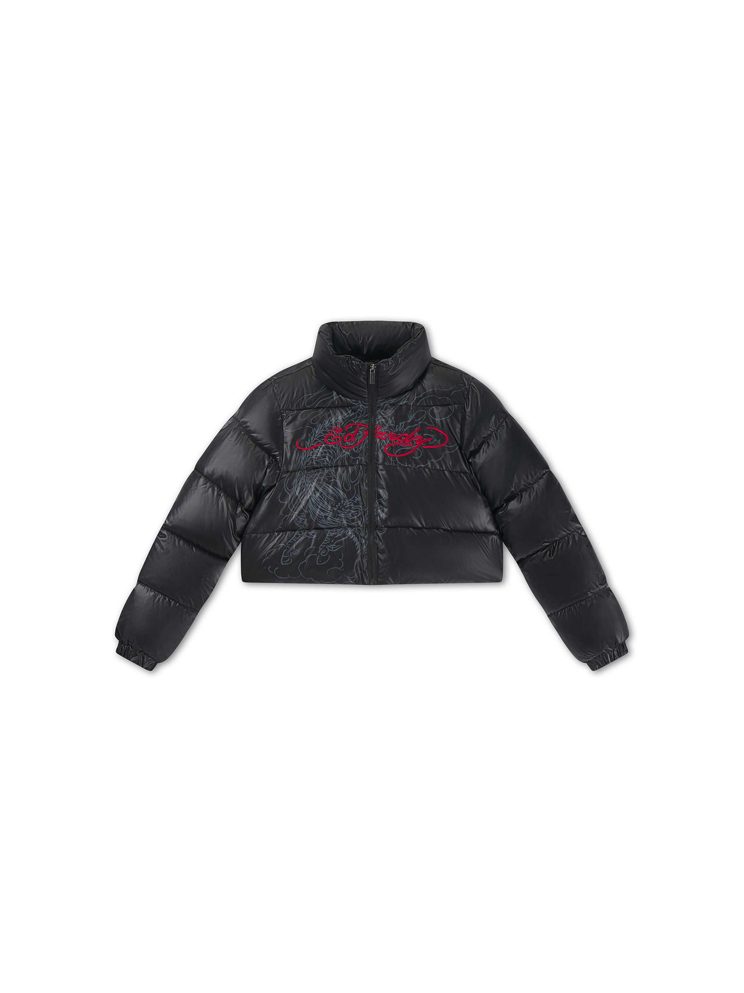 Ed Hardy Winterjas in Zwart: voorkant
