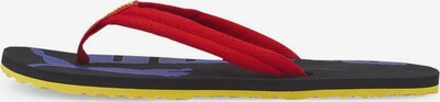 PUMA Séparateur d'orteils 'Epic Flip v2' en bleu / jaune / rouge / noir, Vue avec produit