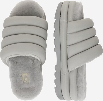 Pantoufle UGG en gris