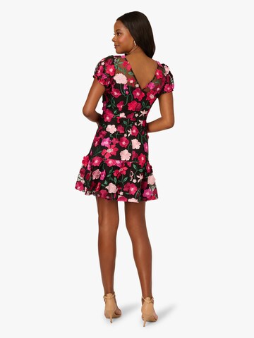 Adrianna Papell Cocktailjurk 'Embroidered Flounce' in Zwart