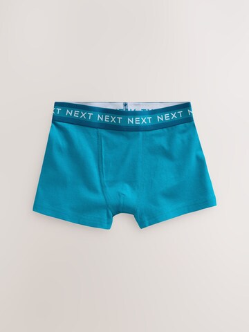 Next Onderbroek in Blauw