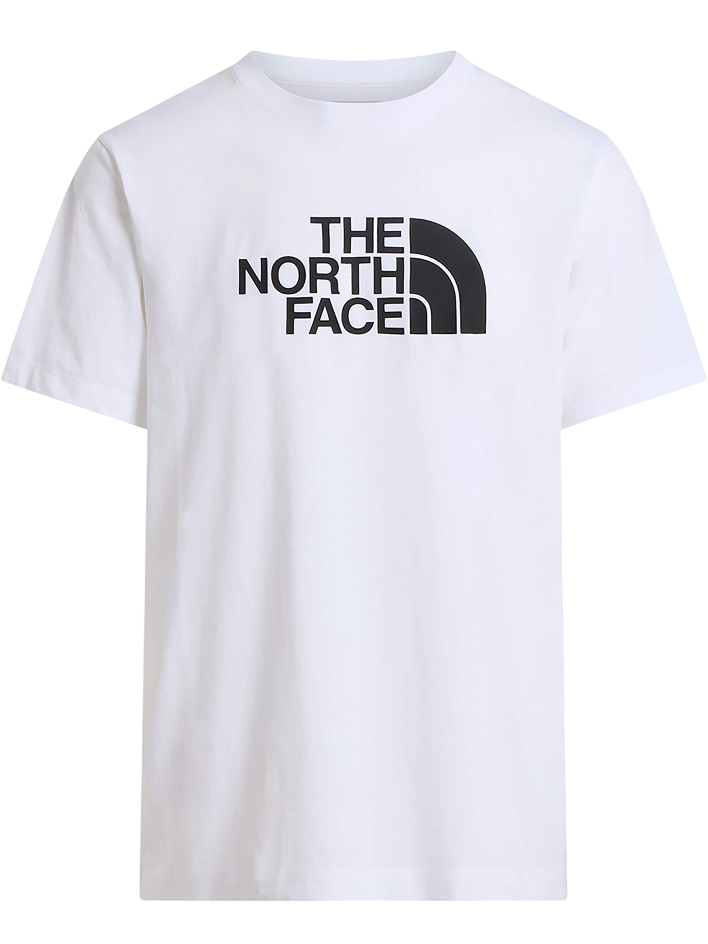 THE NORTH FACE Shirt 'Evolution Half Dome Regular'‌ in Weiß: Vorderseite