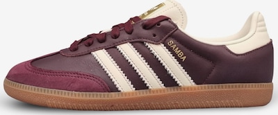 36 dydžio Sportbačiai be auliuko 'Samba' iš ADIDAS ORIGINALS, spalva – gelsvai pilka spalva / vyno raudona spalva / tamsiai raudona, Prekių apžvalga