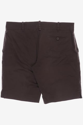 OPUS Shorts XL in Braun