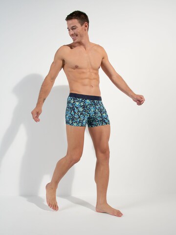 HOM Boxershorts ' Santiago ' in Blauw