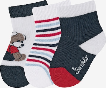 STERNTALER Socks 'Bär' in White: front