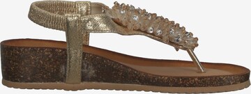 IGI&CO T-Bar Sandals in Gold