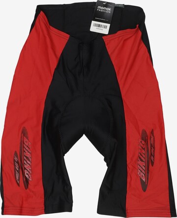 Springfield Shorts 26 in Mischfarben: Vorderseite