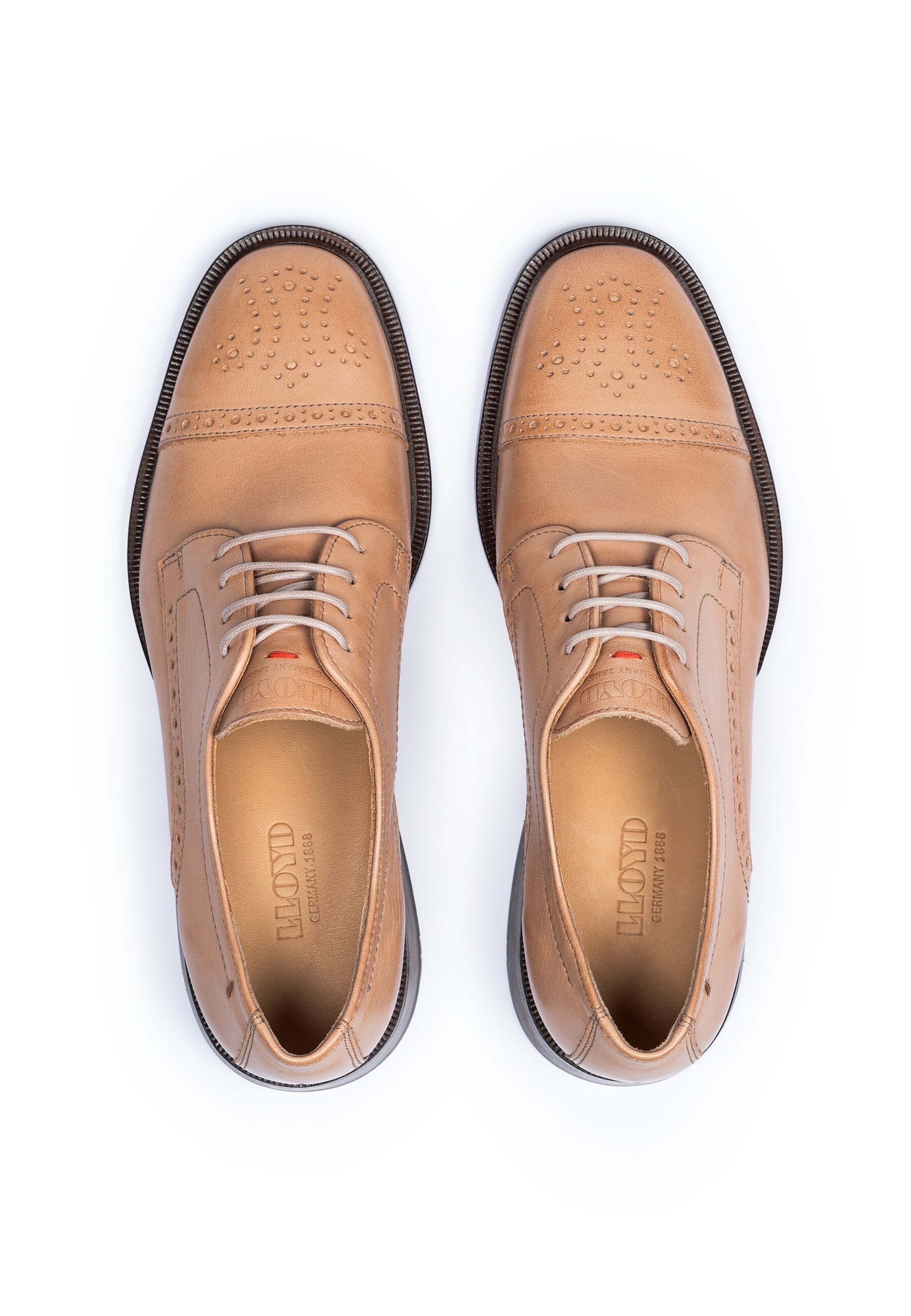 LLOYD Veterschoen in Bruin