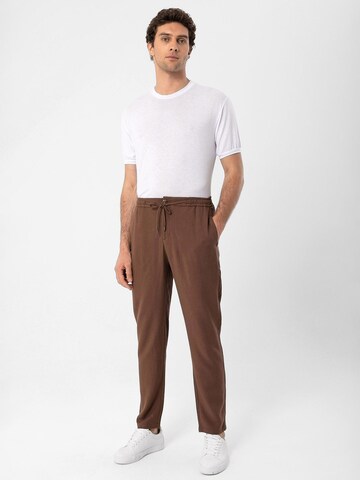 Antioch Tapered Hose in Braun