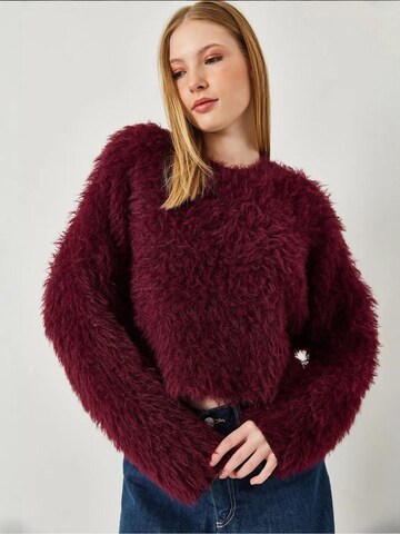 Bianco LucciPulover 'Pullover' - crvena boja
